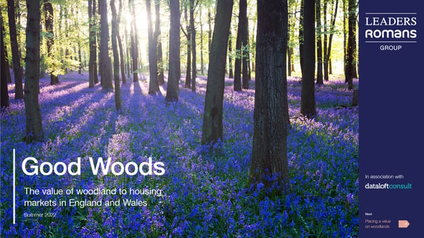 LRG 2022 Woodlands_Dataloft_cover